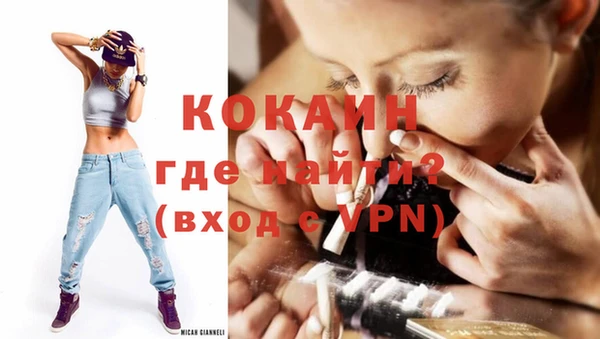 шишки Верхний Тагил
