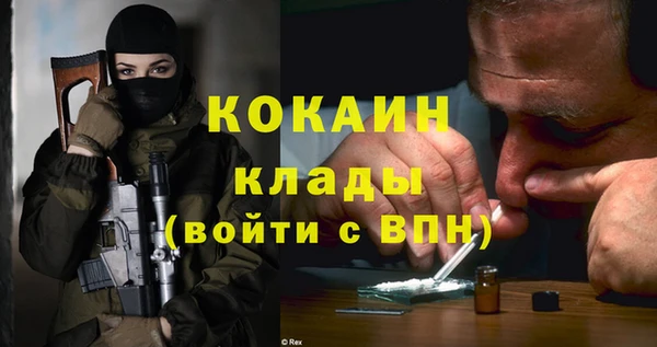 дживик Няндома