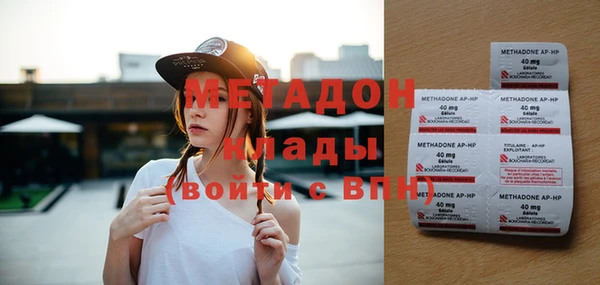 дживик Няндома