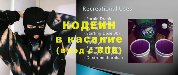 дживик Няндома