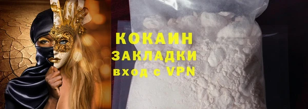 шишки Верхний Тагил