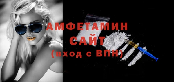 шишки Верхний Тагил
