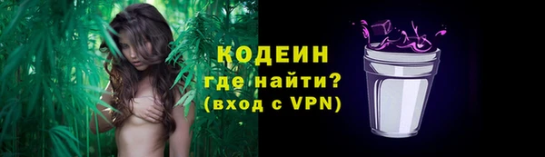 дживик Няндома