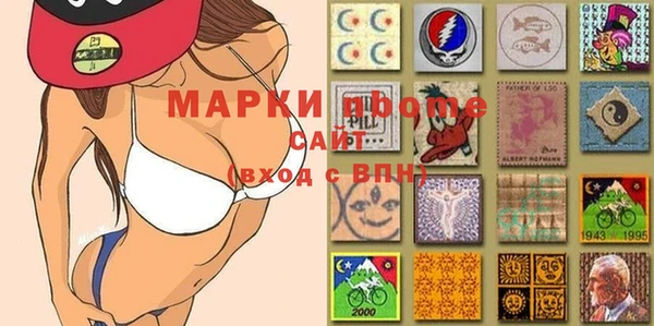 шишки Верхний Тагил