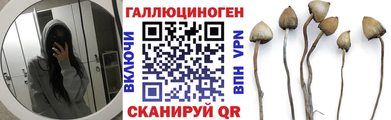Галлюциногенные грибы ЛСД  Луга 
