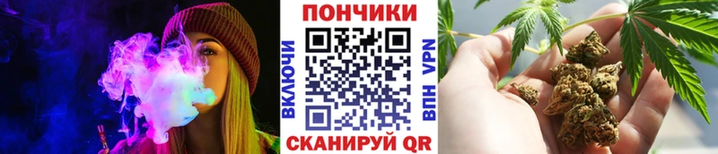Каннабис SATIVA & INDICA  Луга 